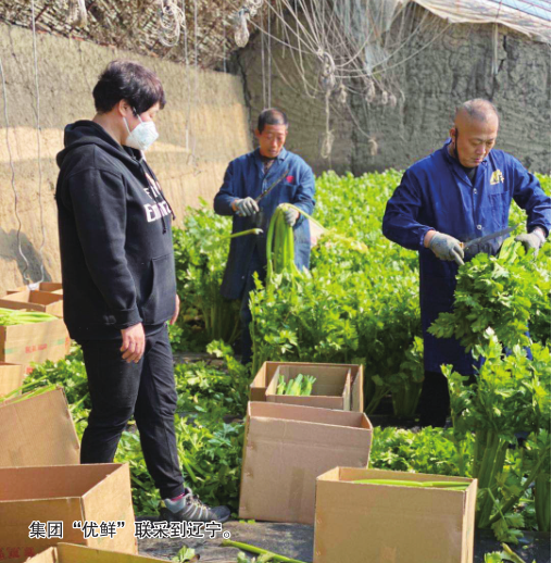 ���˹���-׷�󽡿�-����һ������